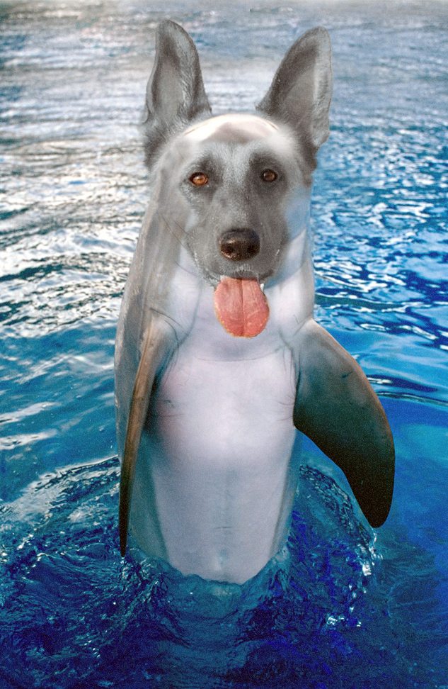 Photoshop Design by fcuetoq for DesignCrowd (Community Contests) | Design #8976099