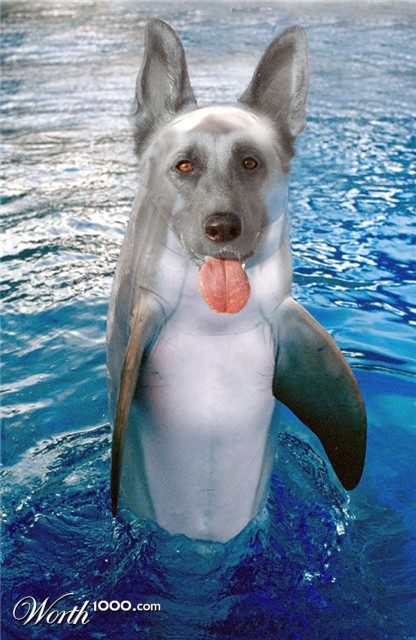 Photoshop Design by fcuetoq