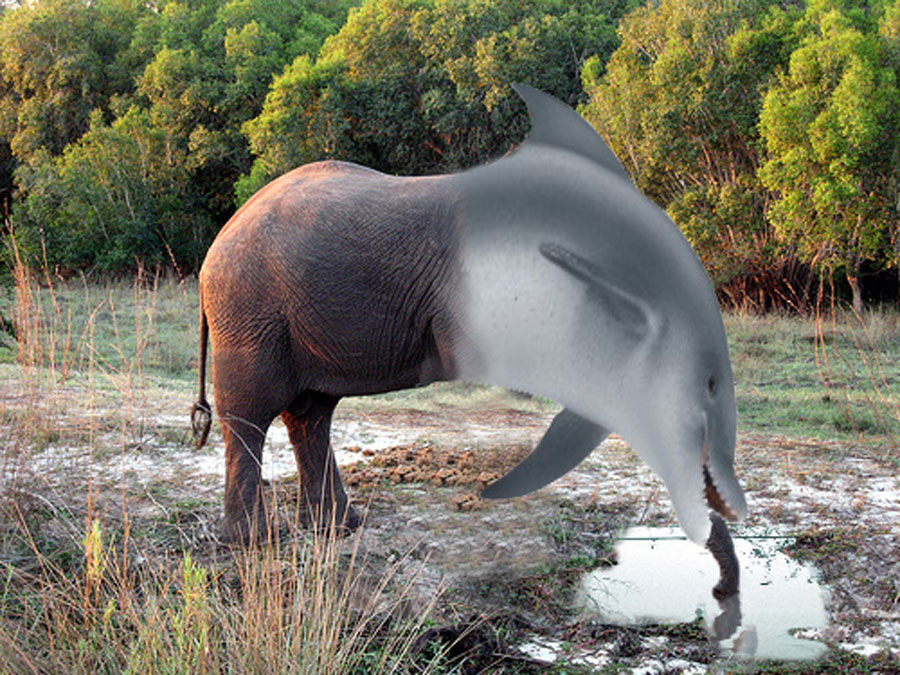 Photoshop Design by eleena07 for DesignCrowd (Community Contests) | Design #8976112