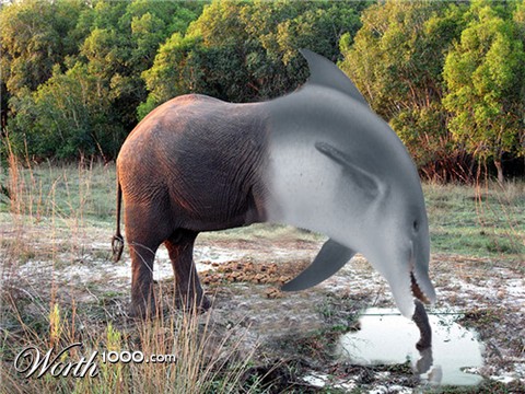 Photoshop Design by eleena07