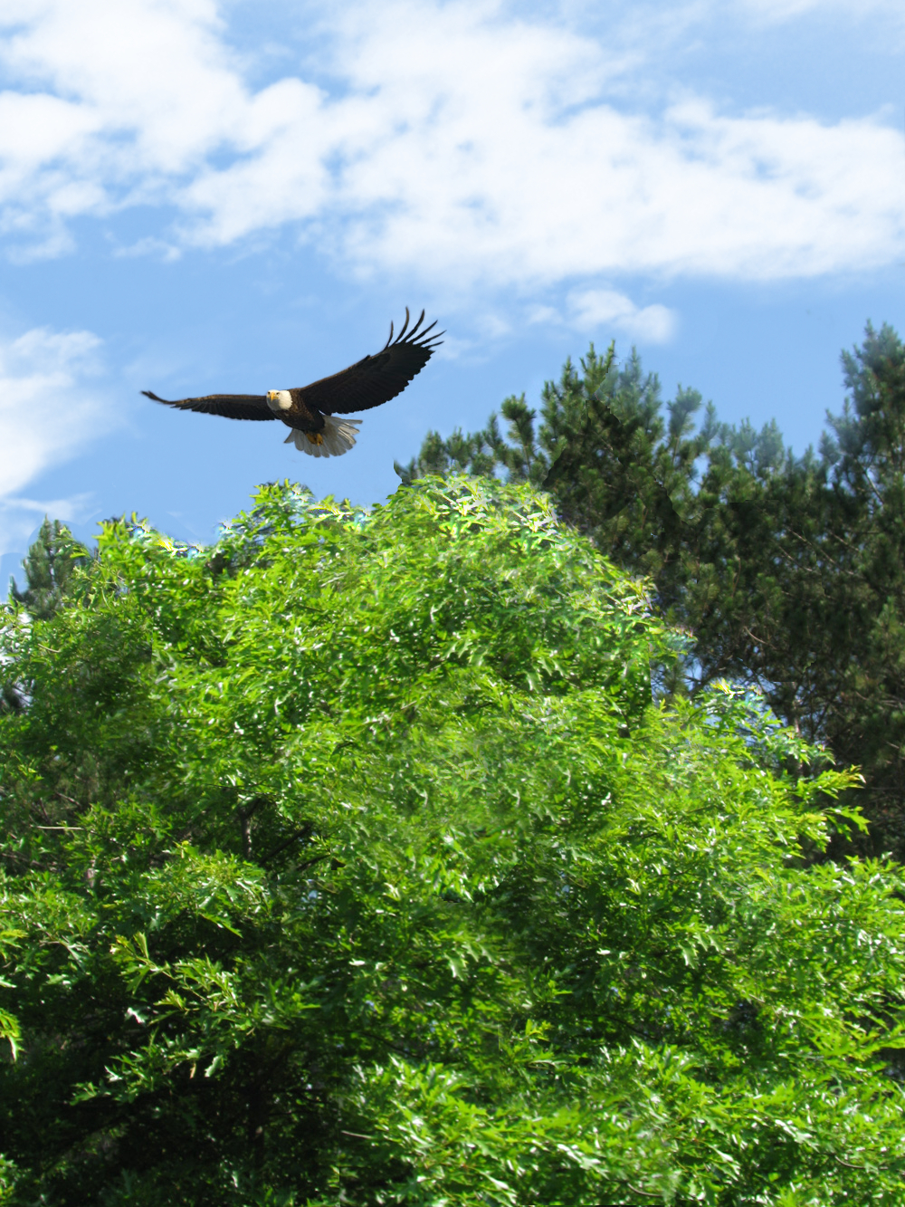 Design Photoshop par GutsAndGlory pour DesignCrowd (Community Contests) | Design #8972553