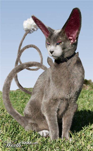 Photoshop Design by willibarb