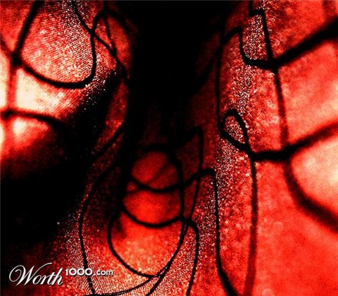 Photography by d2theork