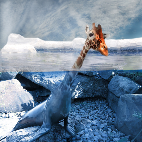 Diseño de Photoshop por Chimmi para DesignCrowd (Community Contests) | Diseño #8976096