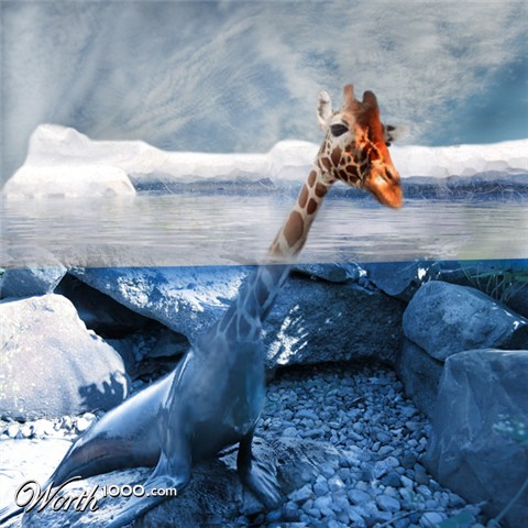 Photoshop Design by Chimmi