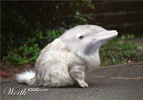 Photoshop Design by vlvette