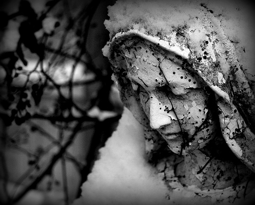 Fotografie von TeeveesBella für DesignCrowd (Community Contests) | Design #8969809