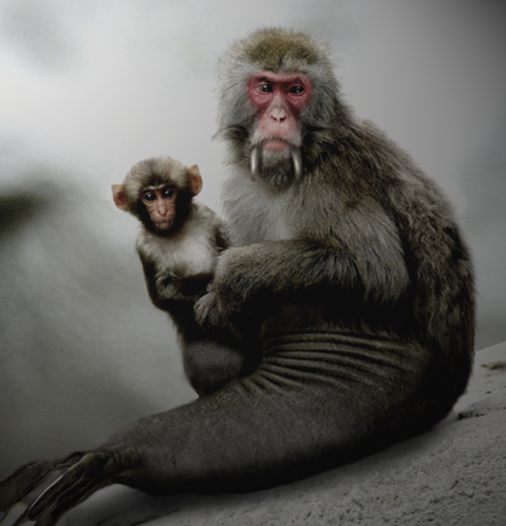 Photoshop Design by Solipse1 for DesignCrowd (Community Contests) | Design #8976151