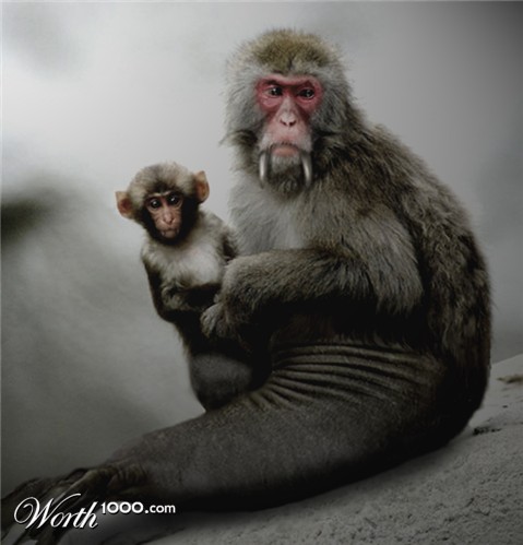 Photoshop Design by Solipse1