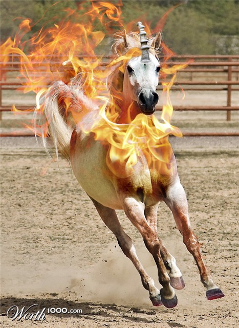 Photoshop Design by austinblalock