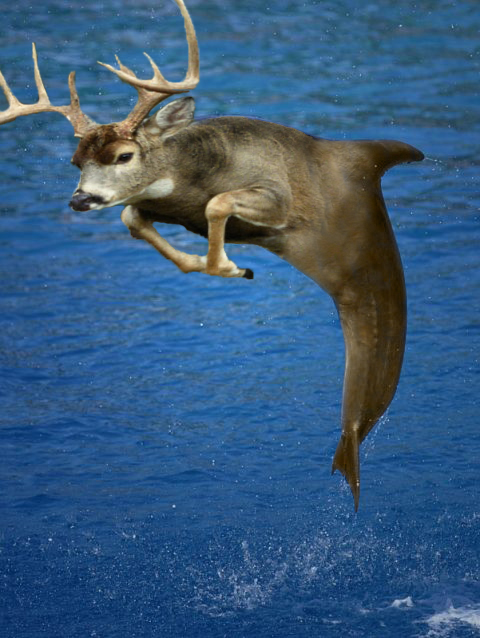 Photoshop Design by BamsInc for DesignCrowd (Community Contests) | Design #8976162