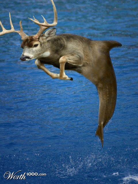 Photoshop Design by BamsInc