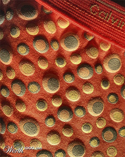 Photography by amirbse