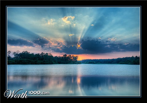 Photography by Fishcat