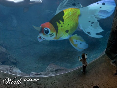 Photoshop Design by reliable