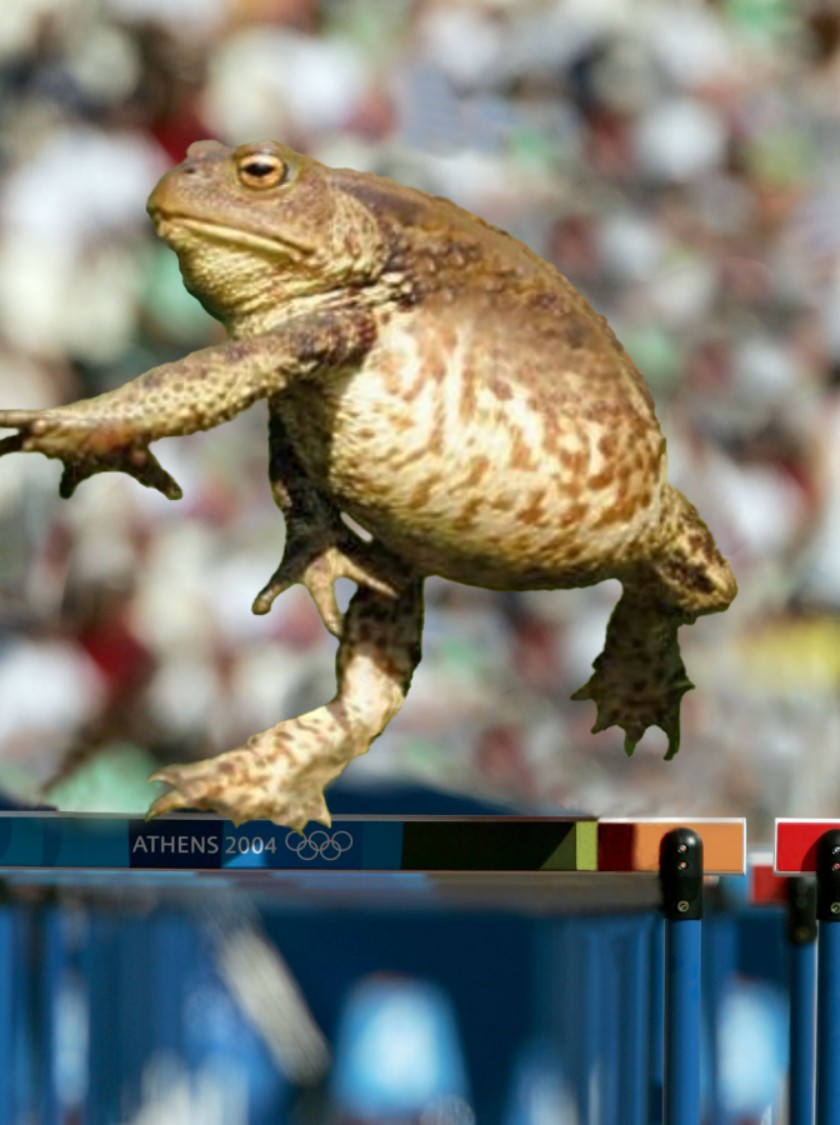 Photoshop Design by Fishwife for DesignCrowd (Community Contests) | Design #8975755