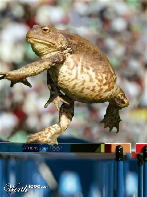 Photoshop Design by Fishwife