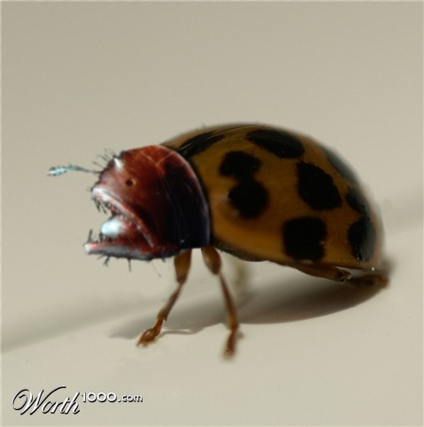 Photoshop Design by Piefke