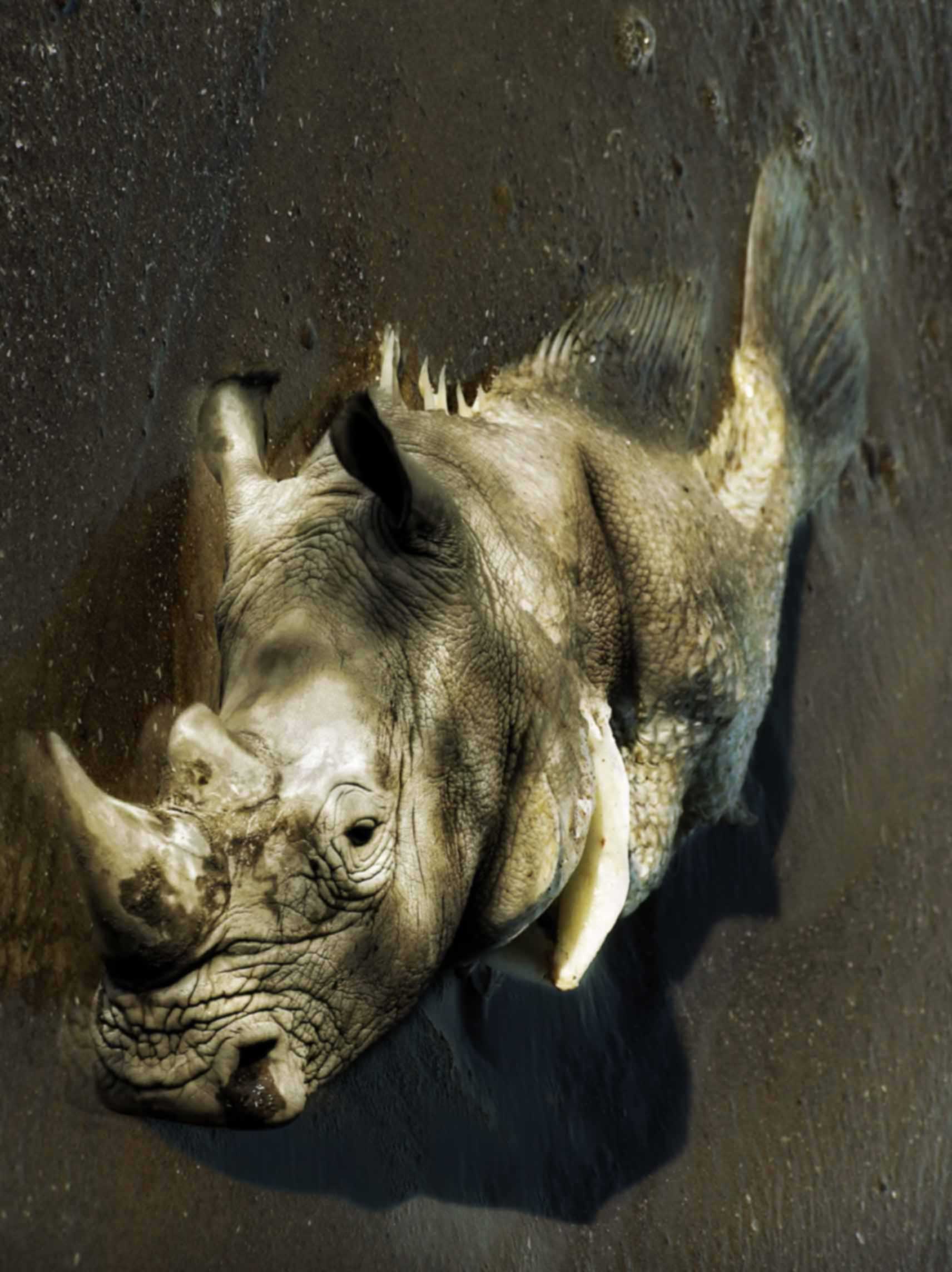 Diseño de Photoshop por deXpert para DesignCrowd (Community Contests) | Diseño #8976272