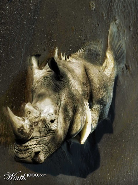 Photoshop Design by deXpert