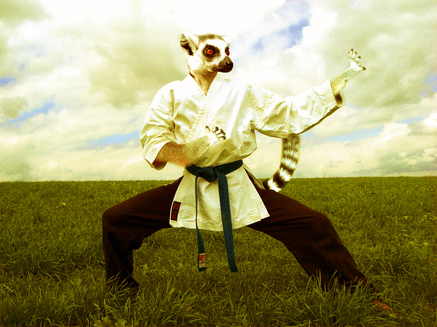 Photoshop Design by oTadeo for DesignCrowd (Community Contests) | Design #8975764