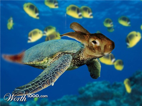 Photoshop Design by mossfet