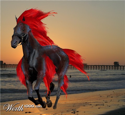 Photoshop Design by donedesign