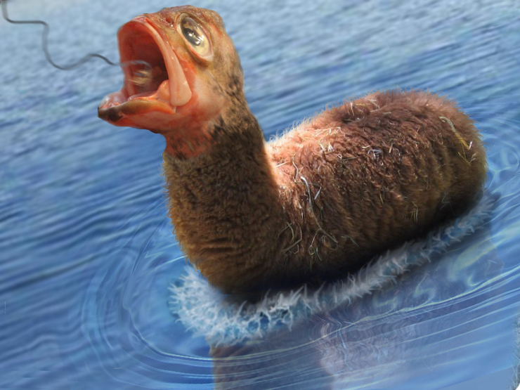 Photoshop Design by pierrX for DesignCrowd (Community Contests) | Design #8976242