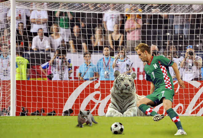 Photoshop Design by fcuetoq for DesignCrowd (Community Contests) | Design #8975785