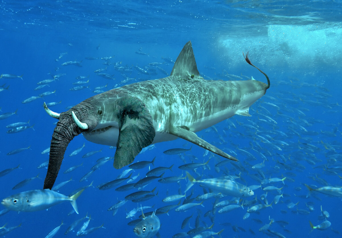 Design Photoshop par SphinxClays pour DesignCrowd (Community Contests) | Design #8976248