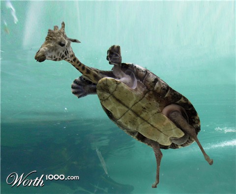 Photoshop Design by justaskdesigns