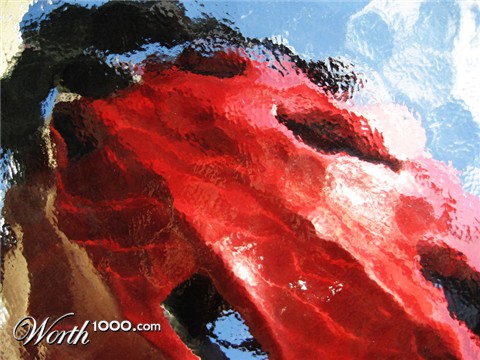 Photography by mangoslushy