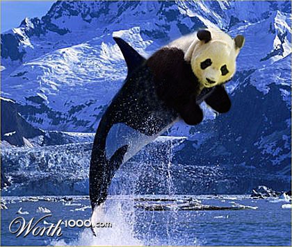 Photoshop Design by onedawomn