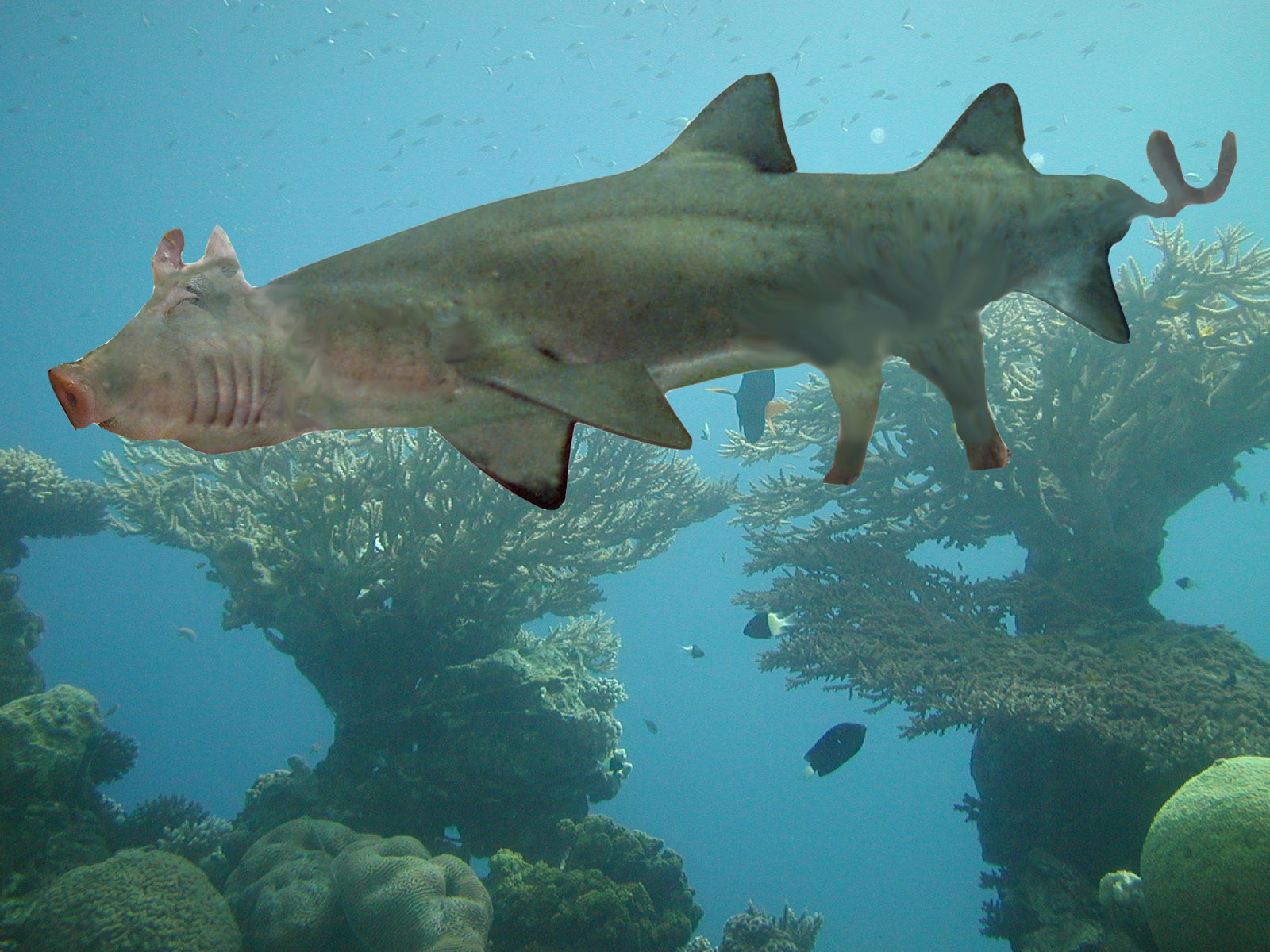 Diseño de Photoshop por dogboy44 para DesignCrowd (Community Contests) | Diseño #8976266