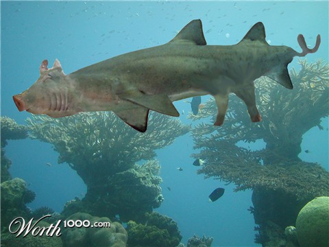 Photoshop Design by dogboy44