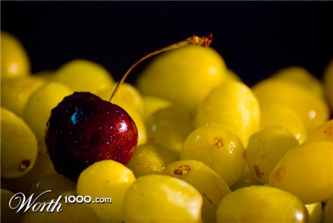 Photography by camoogle