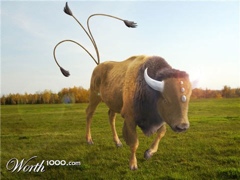 Photoshop Design by danilo2k6