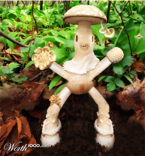 Photoshop Design by jtkremer89