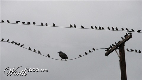 Photoshop Design by PseudoEvolution