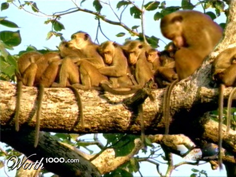 Photoshop Design by lxa1994