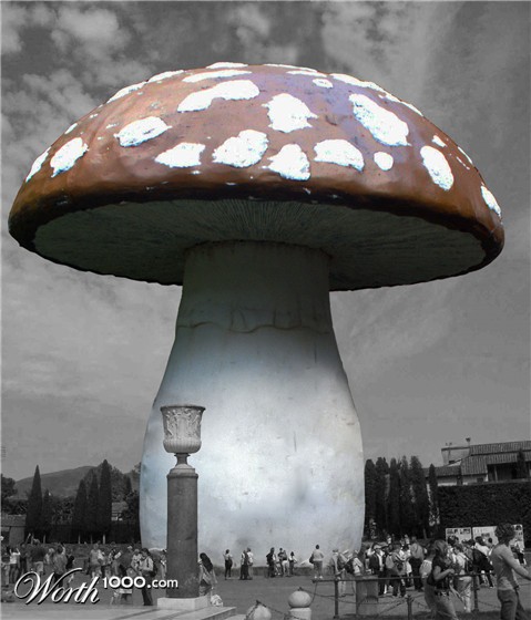 Photoshop Design by Racsoth