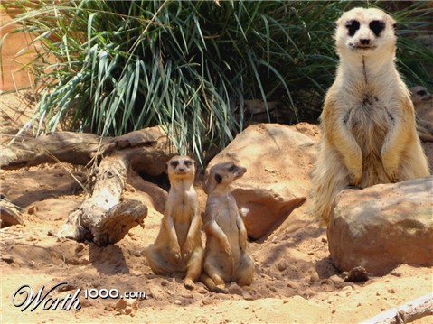 Photoshop Design by fknhilly