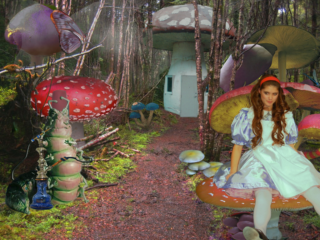 Design Photoshop par Cis4Cookie pour DesignCrowd (Community Contests) | Design #8972304