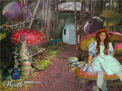 Photoshop Design by Cis4Cookie