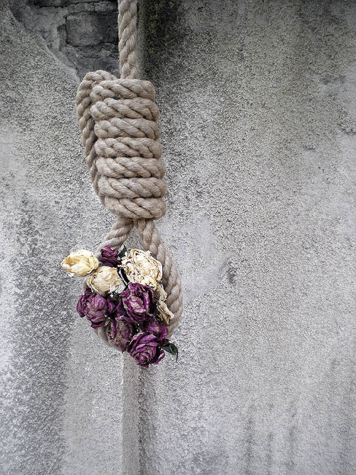 Photography by amirbse for DesignCrowd (Community Contests) | Design #8969844