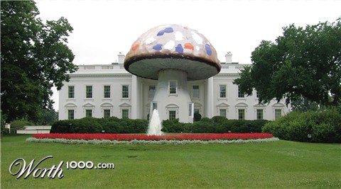 Photoshop Design by juices37