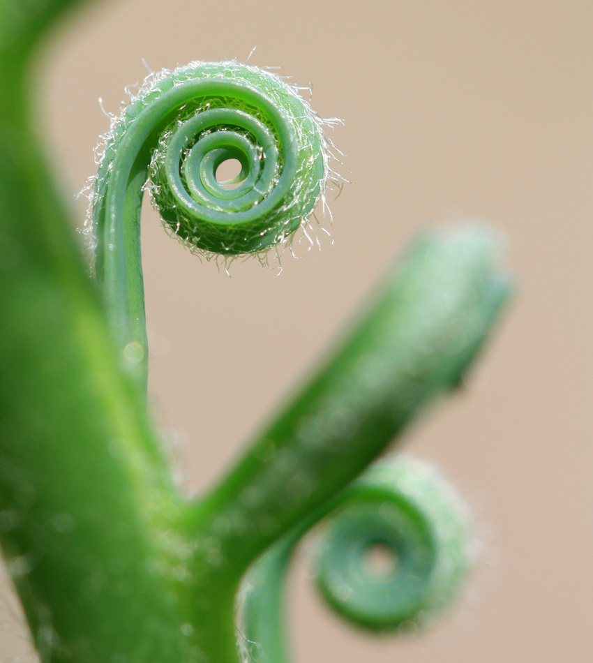 Fotografie von Rouwkema für DesignCrowd (Community Contests) | Design #8969111