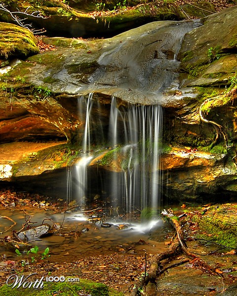 Photography by rennan