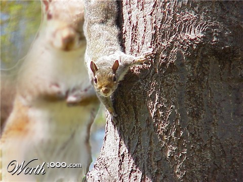 Photoshop Design by KRiSSFuRR