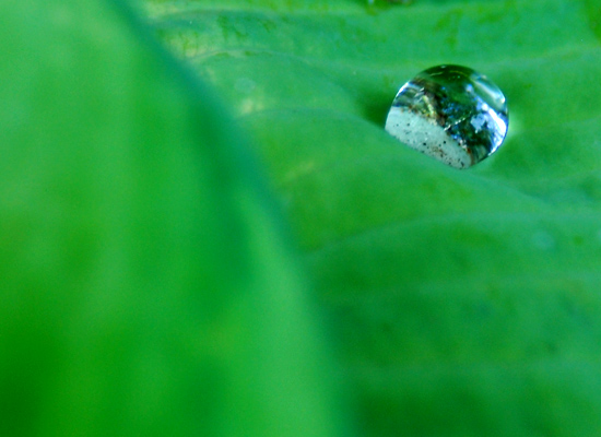 Photography by SeeVee for DesignCrowd (Community Contests) | Design #8969138